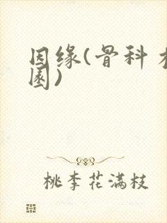 因缘(骨科 校园)