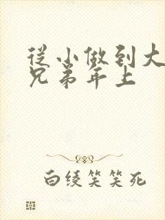 从小做到大骨科兄弟年上
