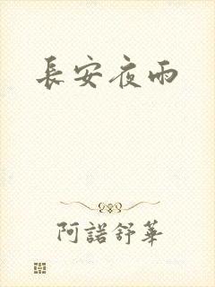 长安夜雨