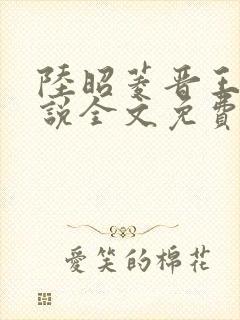 陆昭菱晋王的小说全文免费阅读