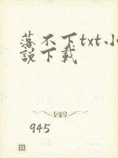 落不下txt小说下载