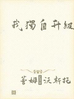 我独自升级小说