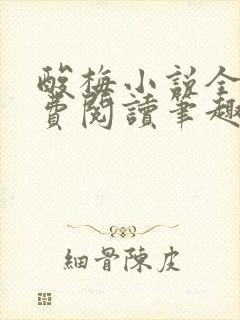 酸梅小说全文免费阅读笔趣阁