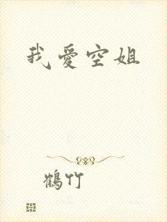 我爱空姐