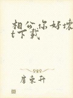 相公你好坏txt下载