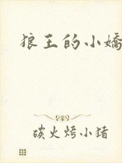 狼王的小娇妻