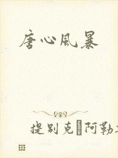 唐心风暴
