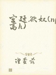 宫廷欲奴(np高h)