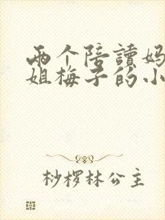 两个陪读妈妈赵姐梅子的小说