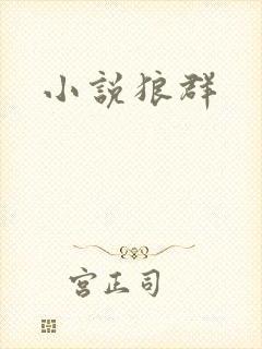 小说狼群