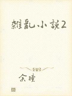 杂乱小说2