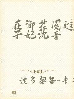 在御花园进入太子妃沈音