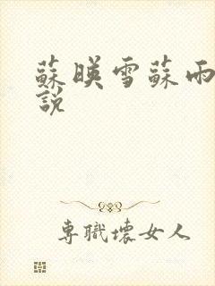苏映雪苏雨柔小说