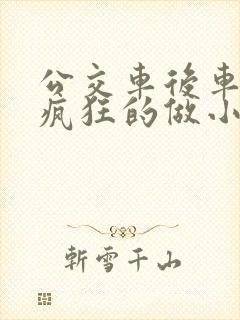 公交车后车座的疯狂的做小