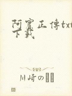 阿宾正传txt下载