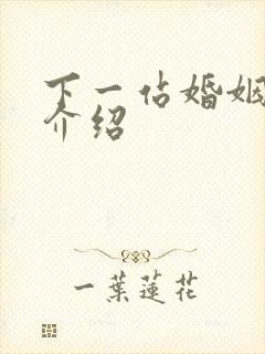 下一站婚姻剧情介绍