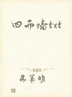 四面墙txt