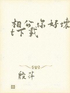 相公你好坏txt下载