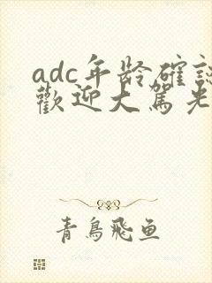 adc年龄确认欢迎大驾光临小说