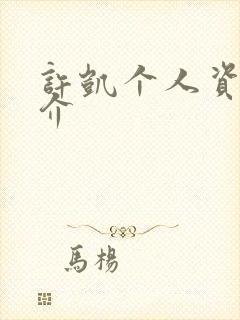 许凯个人资料简介