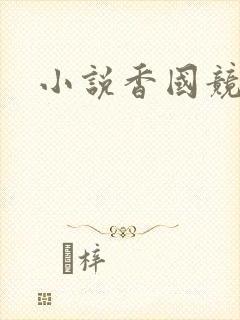 小说香国竞艳