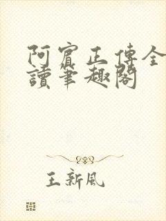 阿宾正传全文阅读笔趣阁