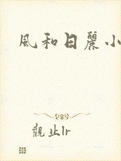 风和日丽小说