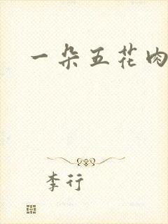一朵五花肉