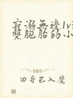 宠溺无边1v3双胞胎的小说