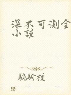 深不可测金银花小说