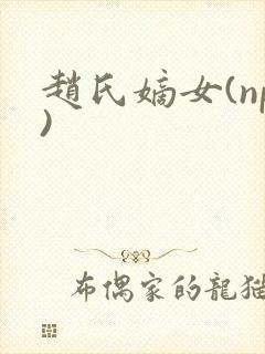 赵氏嫡女(np)