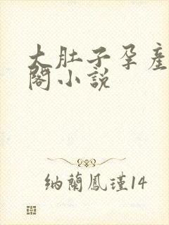 大肚子孕产笔趣阁小说