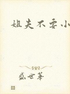 姐夫不要小说