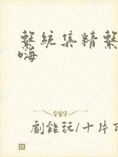 系统集精系统高嗨