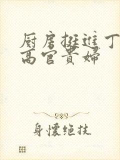 厨房挺进丁字裤高官贵妇