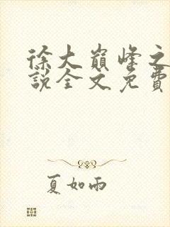 徐大巅峰之路小说全文免费阅读