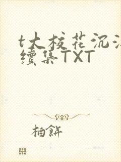 t大校花沉浮录续集TXT