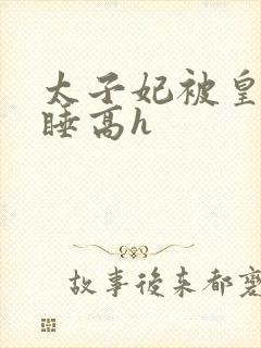 太子妃被皇上强睡高h