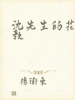 沈先生的花式调教