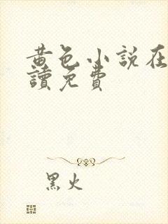 黄色小说在线阅读免费