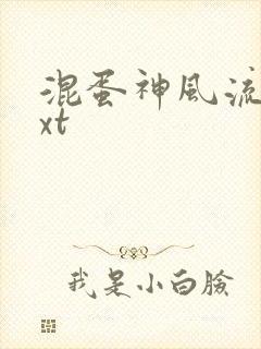 混蛋神风流史txt