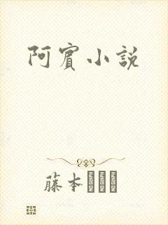 阿宾小说