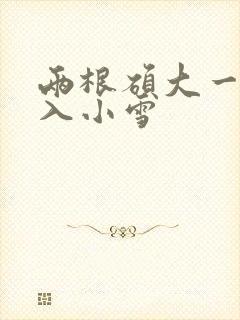 两根硕大一起挤入小雪