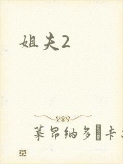 姐夫2