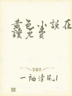 黄色小说在线阅读免费