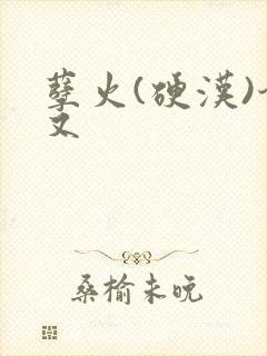 孽火(硬汉)今又