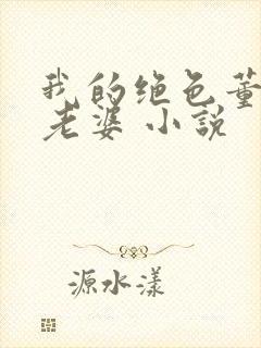 我的绝色董事长老婆 小说