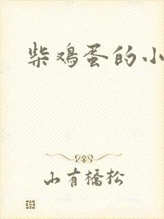 柴鸡蛋的小说