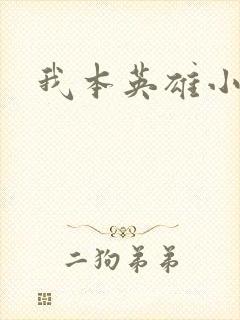 我本英雄小说