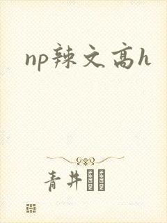 np辣文高h